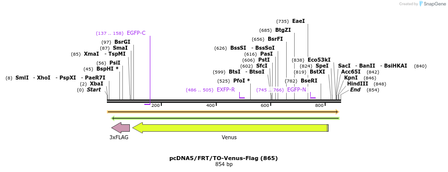 55423_map