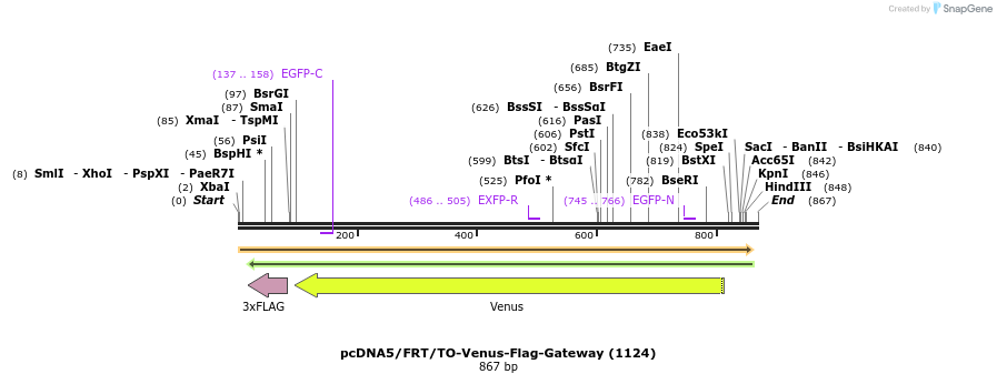 55424_map