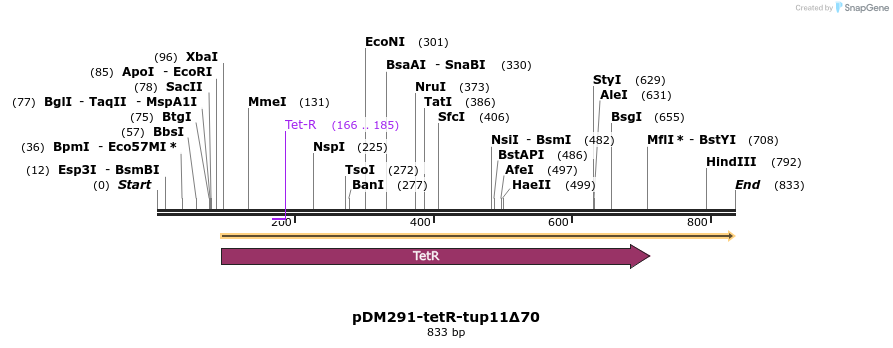 55429_map