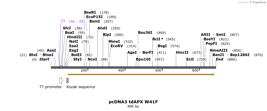 55431_map
