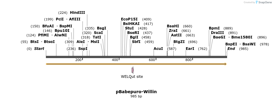 55434_map