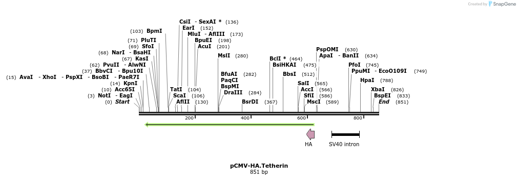 55438_map