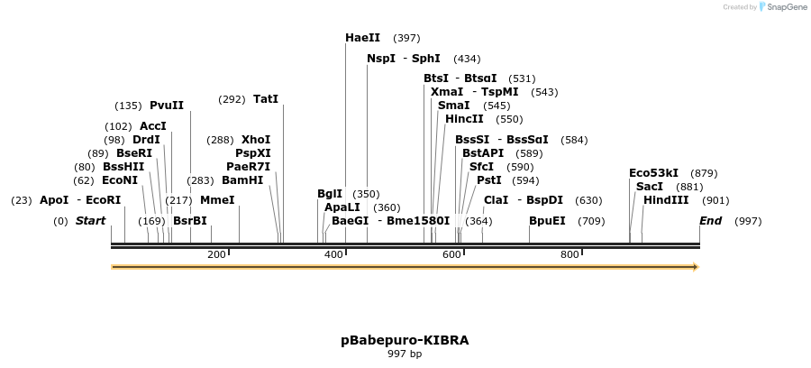 55440_map