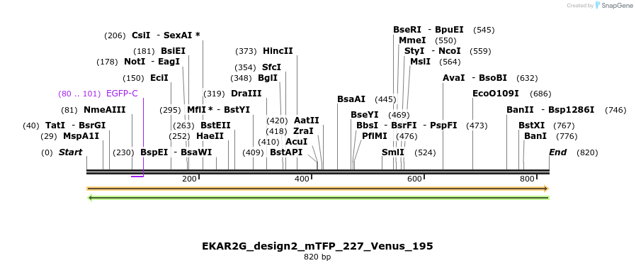 55446_map