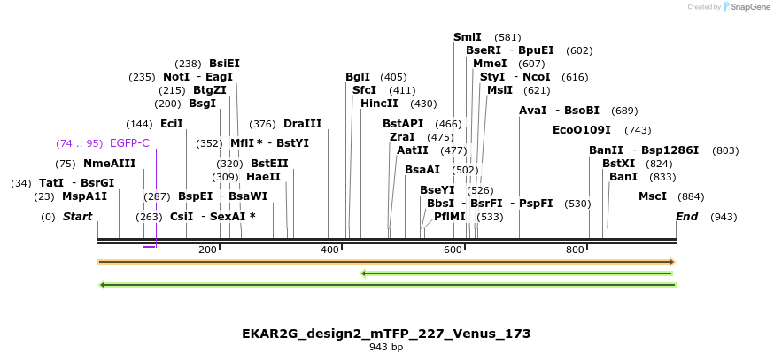 55447_map