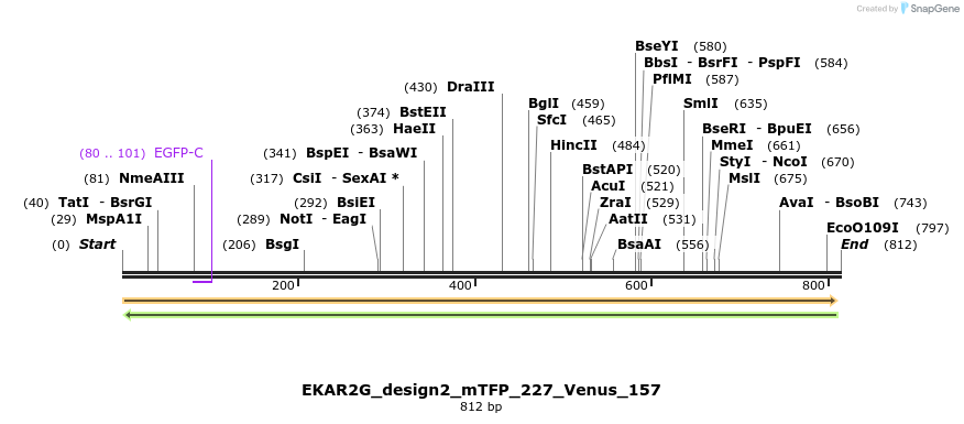 55449_map