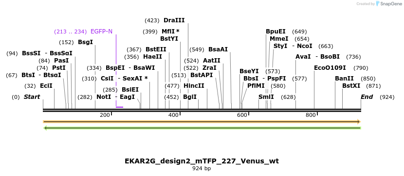 55450_map