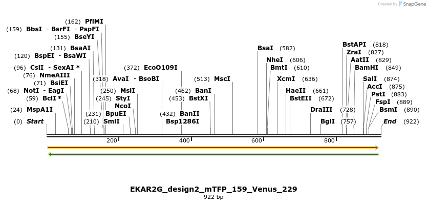 55453_map