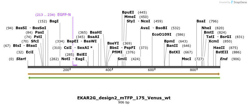 55455_map