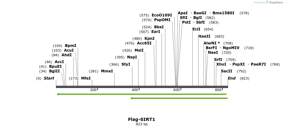 55456_map