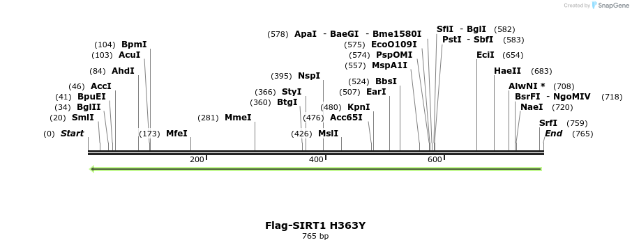 55459_map
