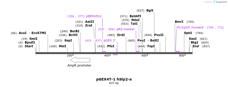 55461_map