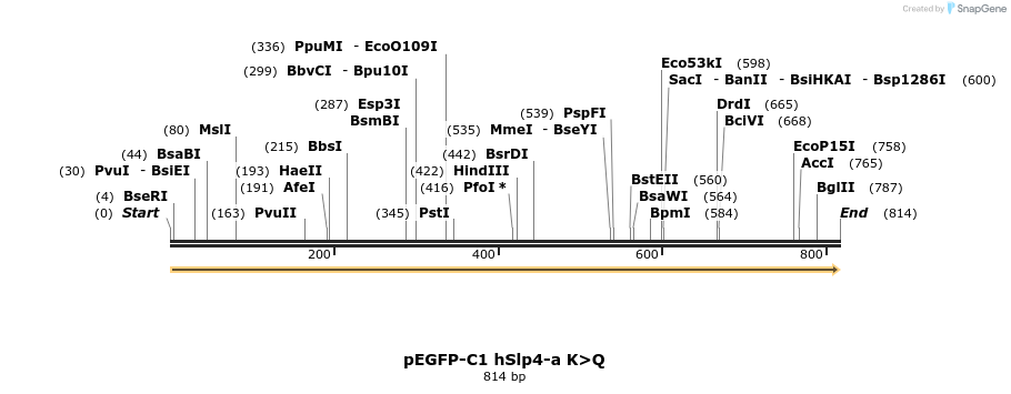 55463_map