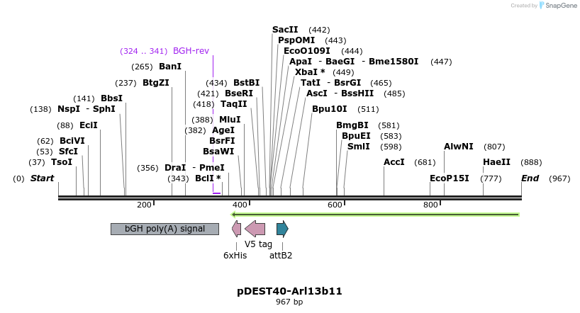 55466_map