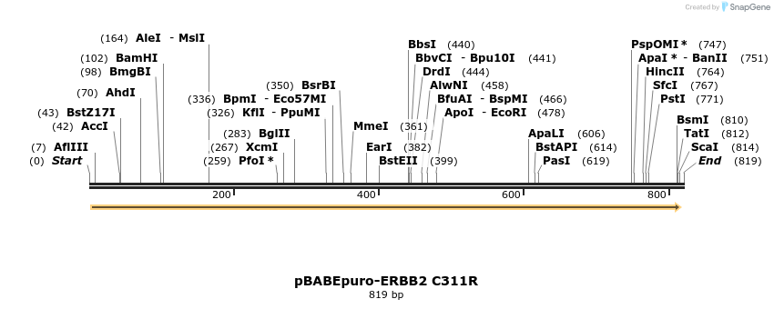55468_map