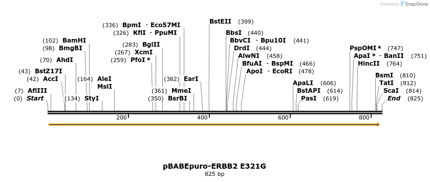 55469_map