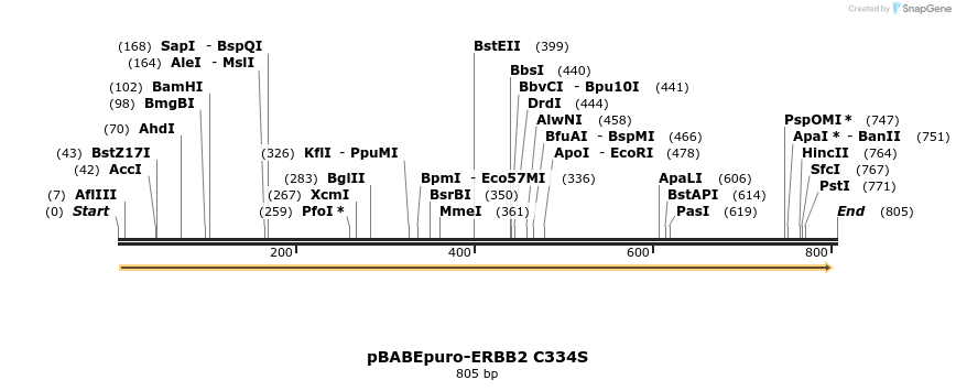 55470_map
