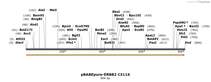 55471_map