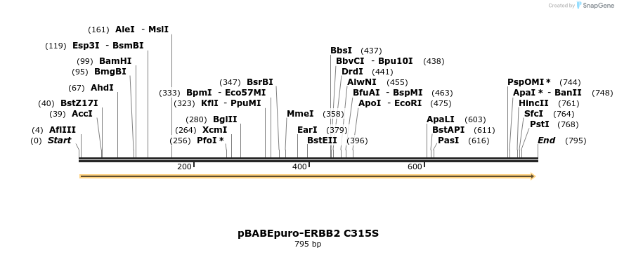 55473_map