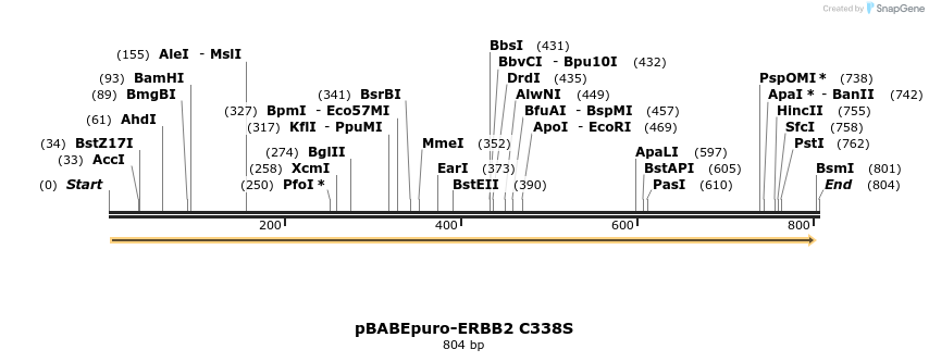 55474_map
