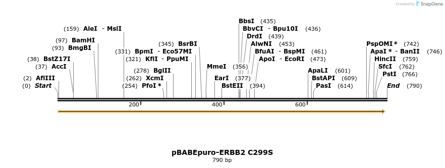 55475_map