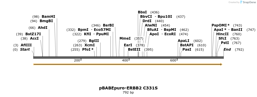 55477_map
