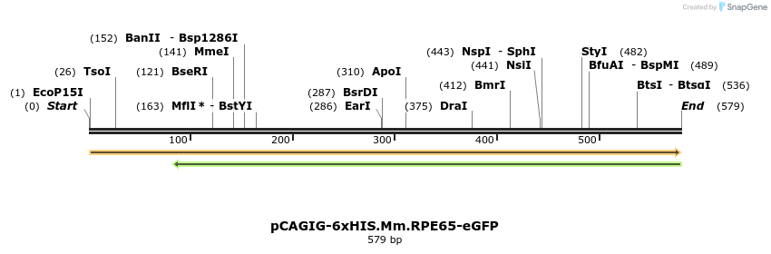 55478_map