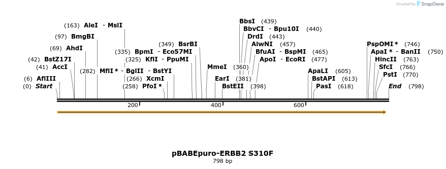 55482_map
