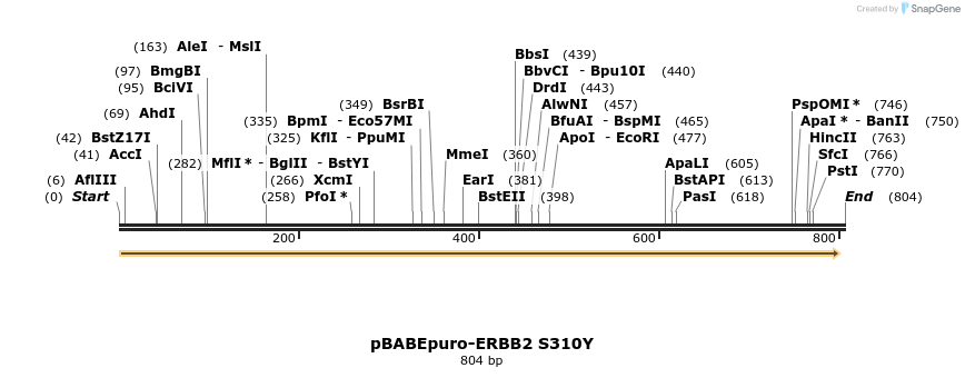 55484_map