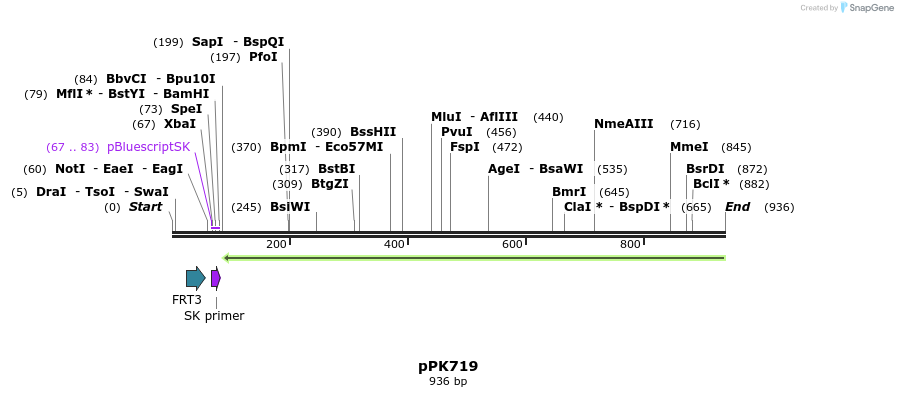55487_map