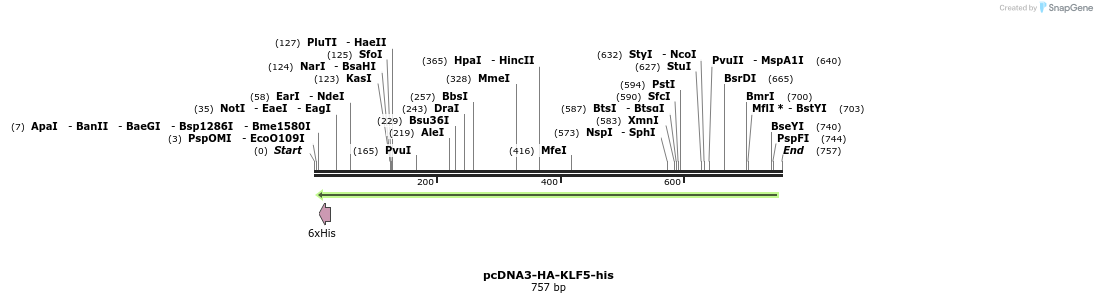 55489_map