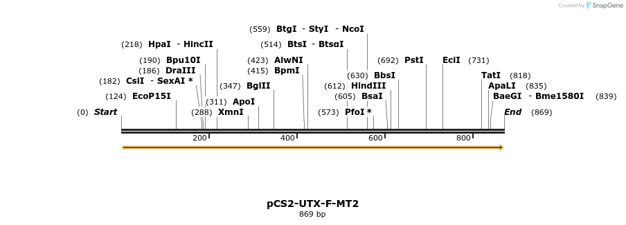 55493_map