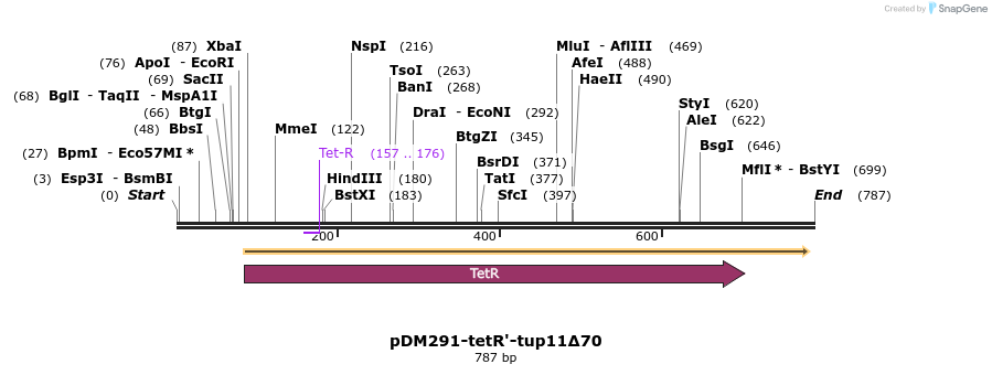 55496_map