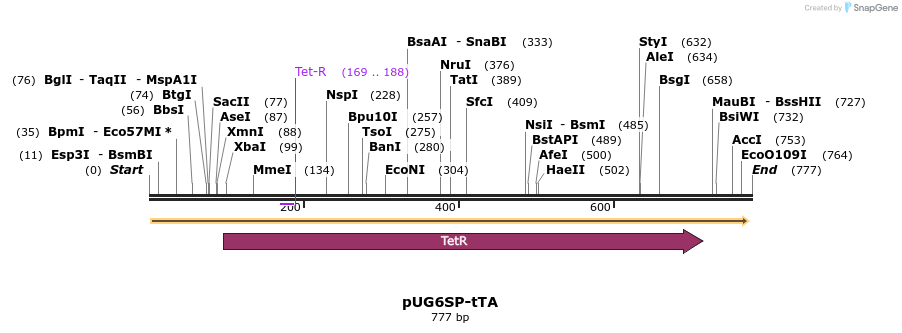 55497_map