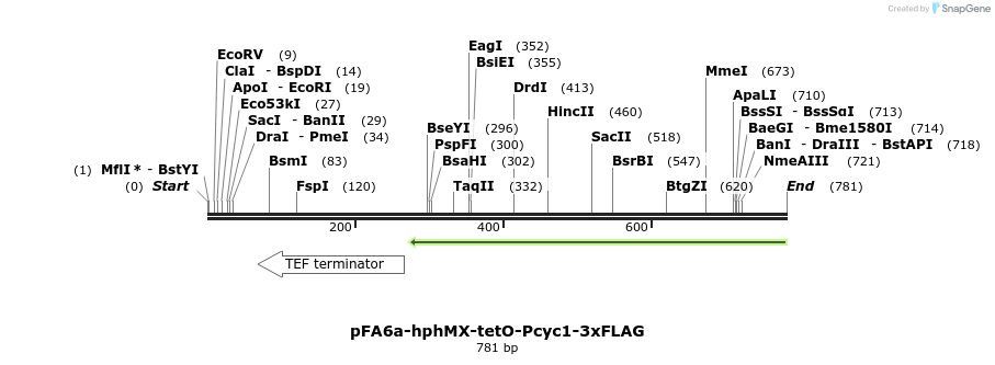 55499_map