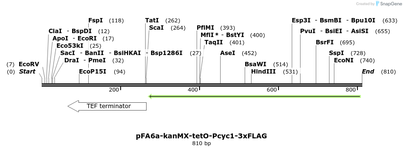 55501_map