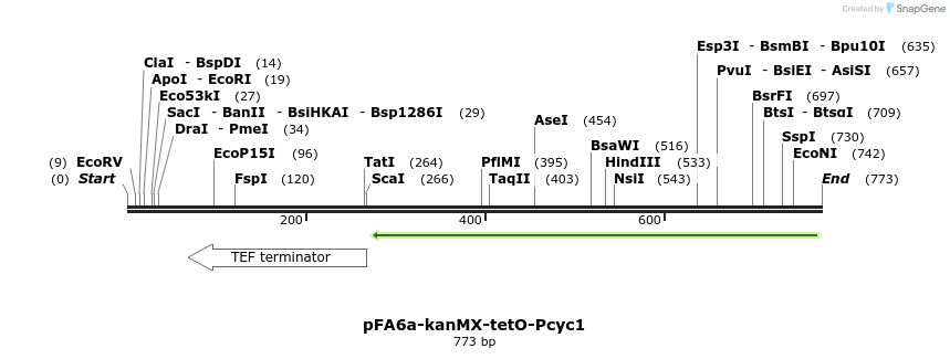 55502_map