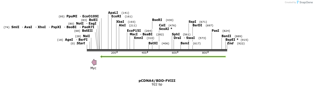 55503_map