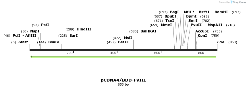 55504_map