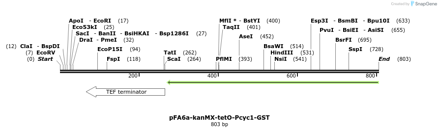 55509_map