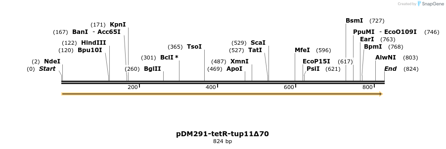 55510_map