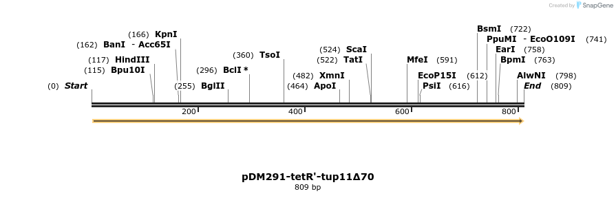 55511_map