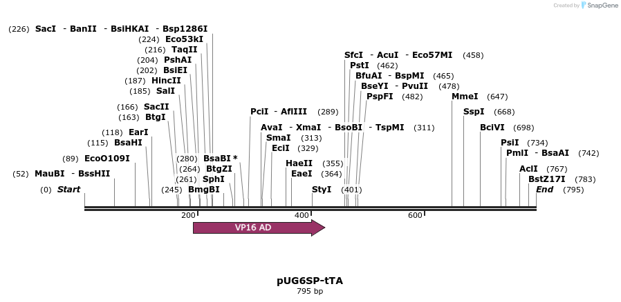 55512_map