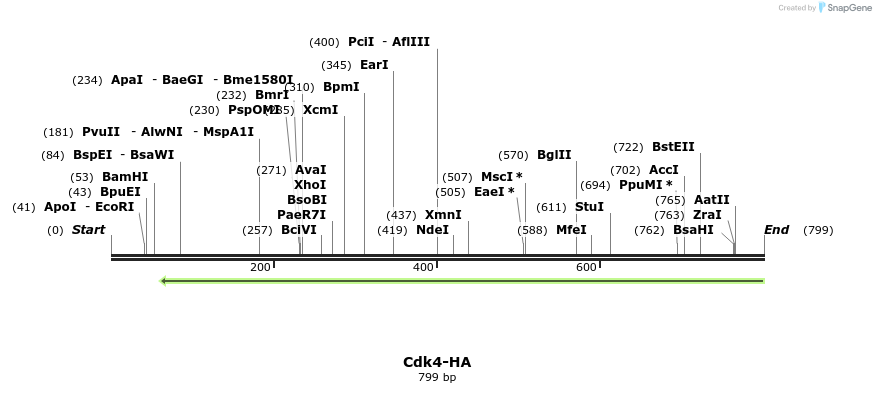 55521_map