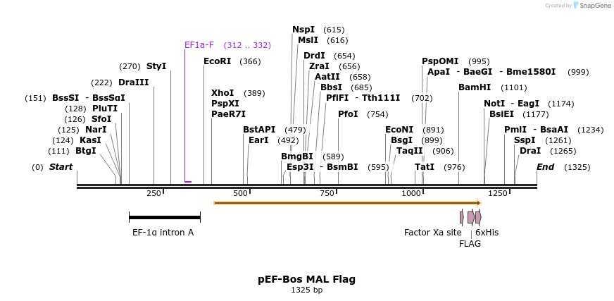55523_map