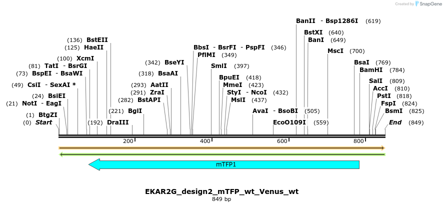 55527_map
