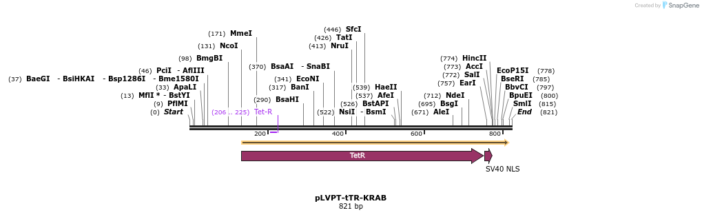 55541_map