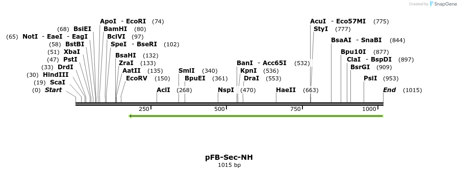 55550_map