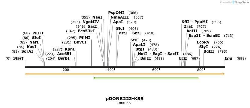 55553_map
