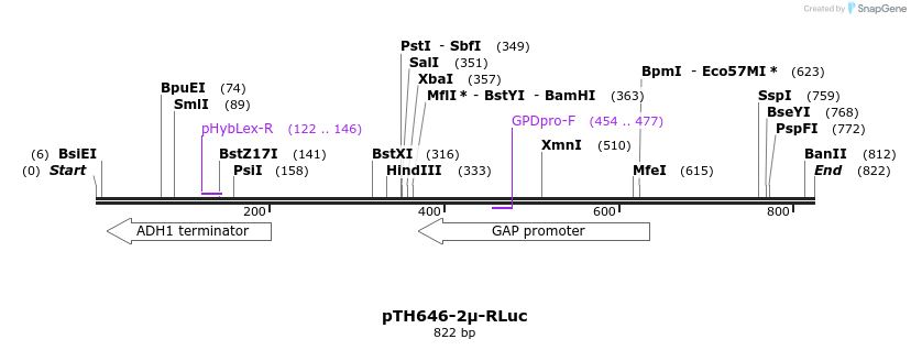 55556_map